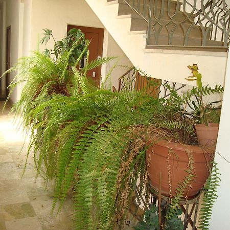 Antonio'S House Bed & Breakfast อากริเจนโต ภายนอก รูปภาพ