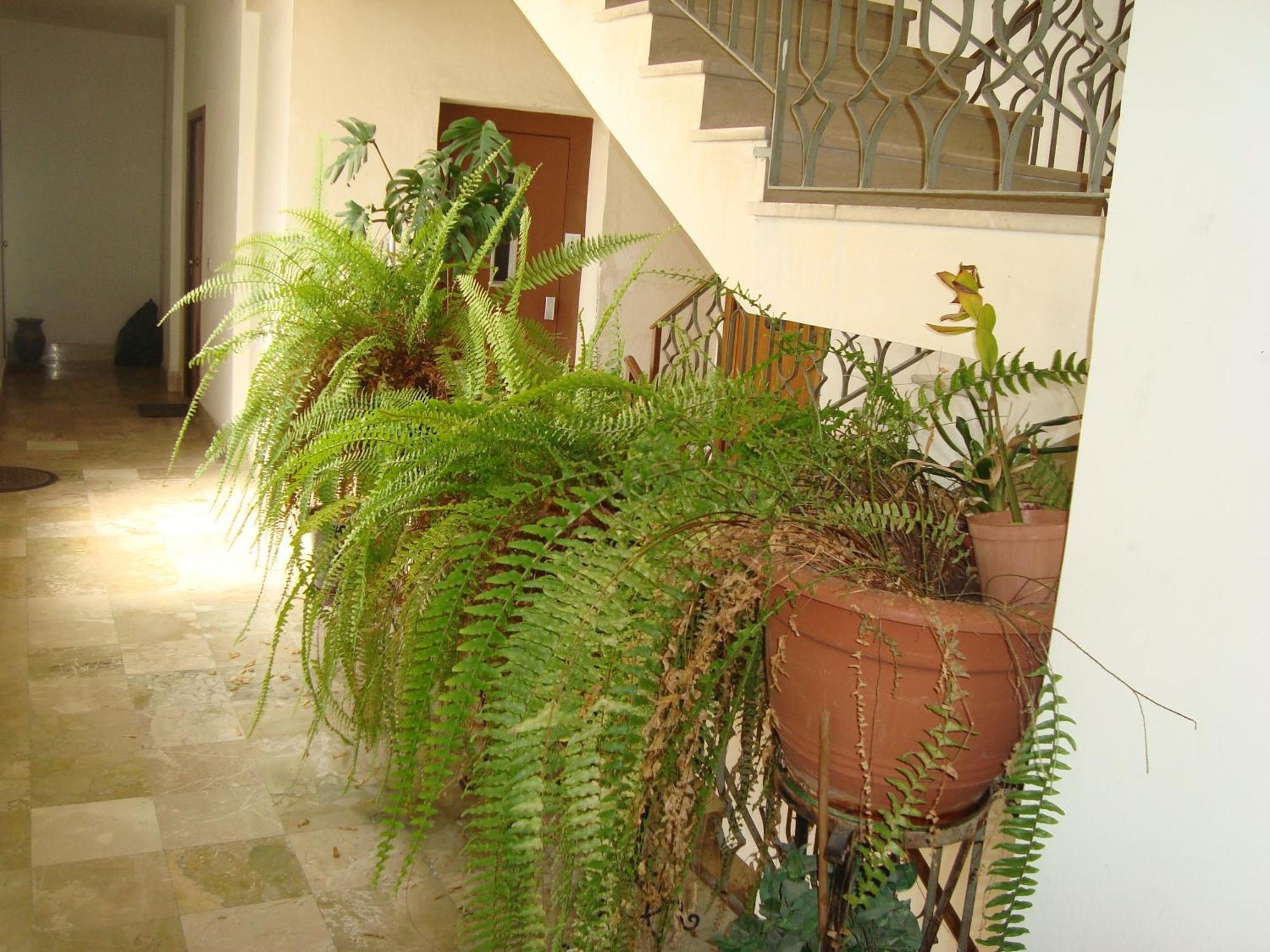 Antonio'S House Bed & Breakfast อากริเจนโต ภายนอก รูปภาพ